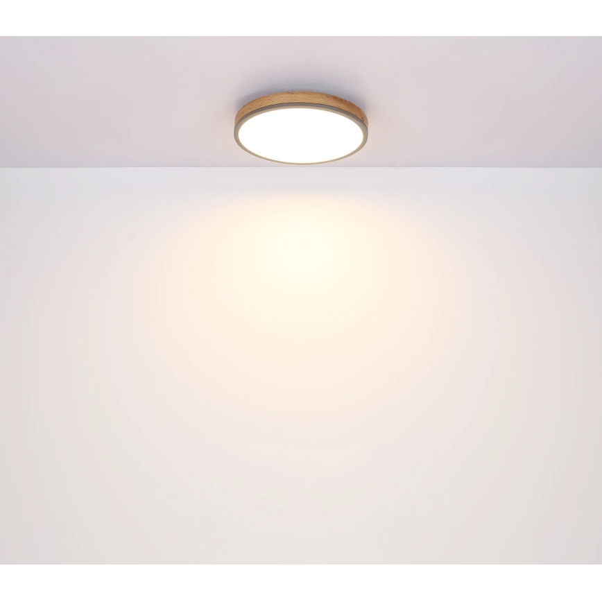 Globo - Dimbare LED-plafondlamp LED/24W/230V 3000-6500K Ø 45 cm
