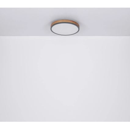 Globo - Dimbare LED-plafondlamp LED/24W/230V 3000-6500K Ø 45 cm
