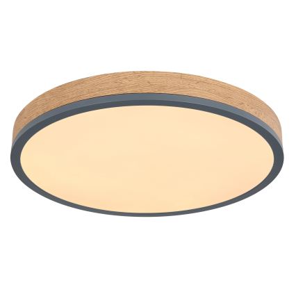 Globo - Dimbare LED-plafondlamp LED/24W/230V 3000-6500K Ø 45 cm