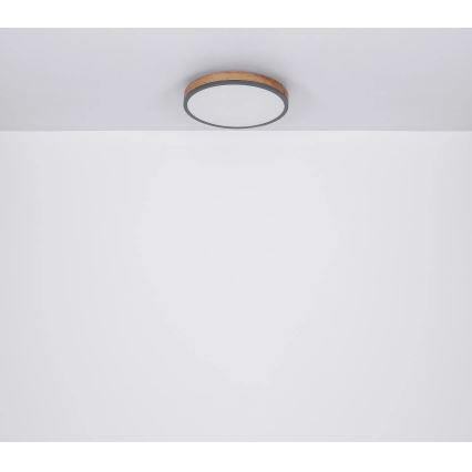 Globo - Dimbare LED plafondlamp LED/40W/230V 2700-6500K diameter 60 cm + afstandsbediening bruin/grijs