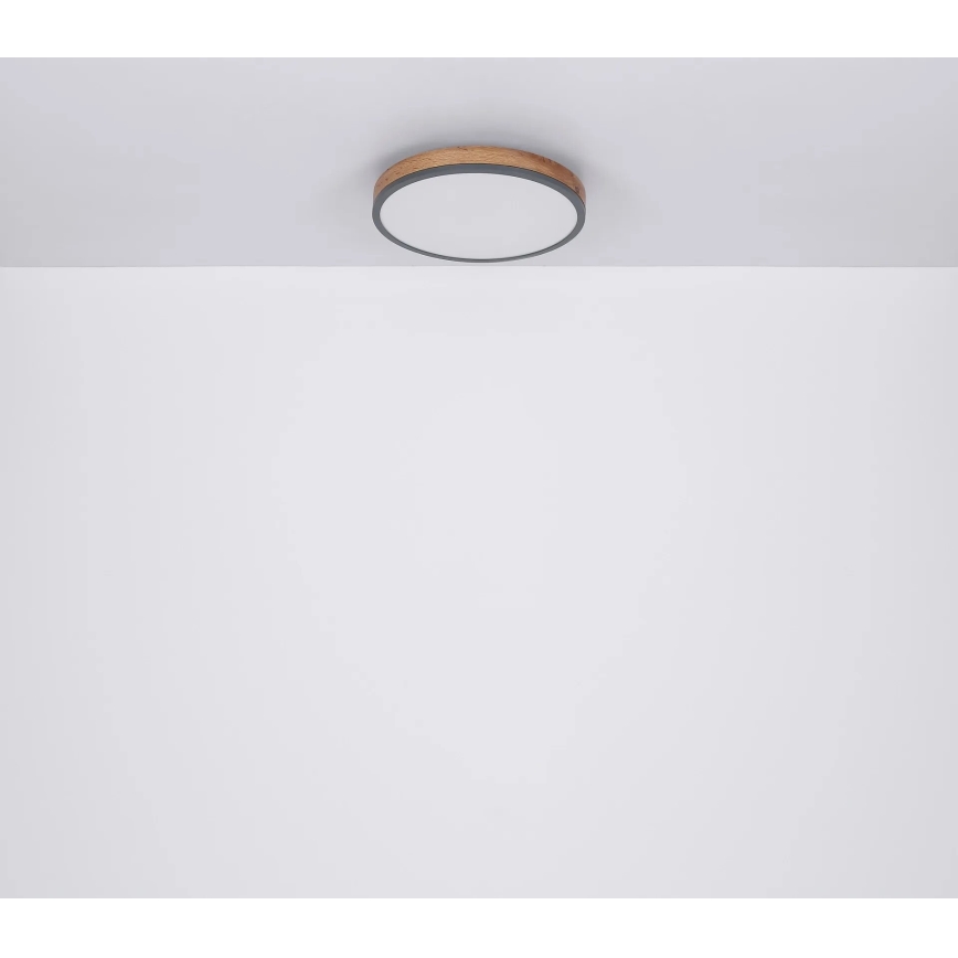 Globo - Dimbare LED plafondlamp LED/40W/230V 2700-6500K diameter 60 cm + afstandsbediening bruin/grijs