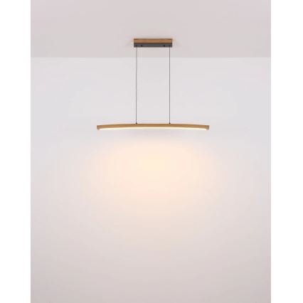 Globo - LED Dimbare hanglamp met aanraakbediening aan kabel LED/18W/230V 3000K