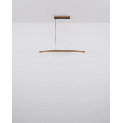 Globo - LED Dimbare hanglamp met aanraakbediening aan kabel LED/18W/230V 3000K