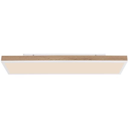 Globo - Dimbare LED-plafondlamp LED/24W/230V 2700-6500K 20x80 cm + afstandsbediening