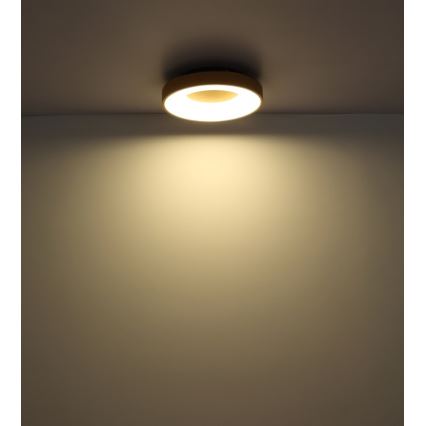 Globo - Dimbare LED plafondlamp LED/30W/230V + afstandsbediening