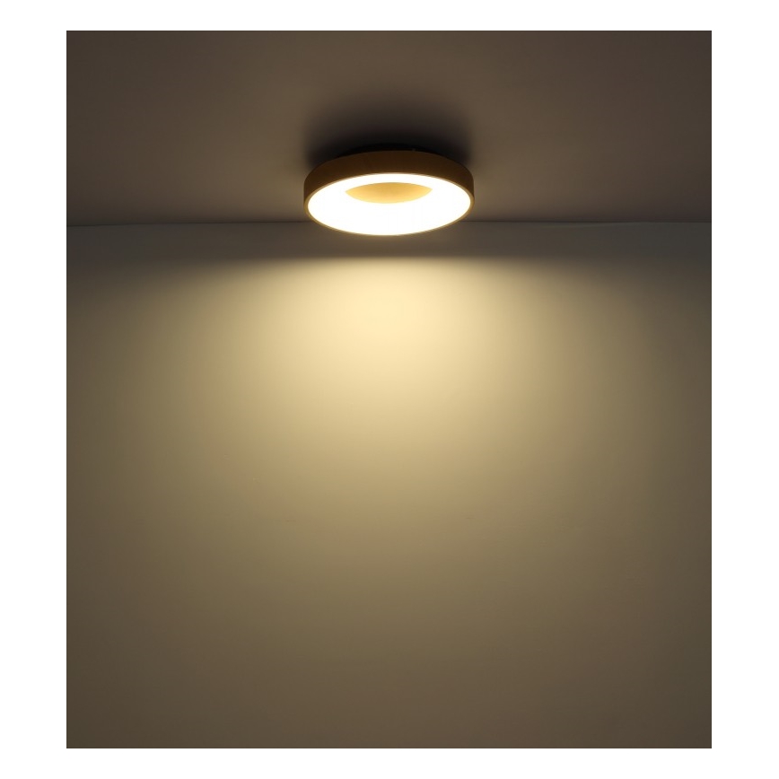 Globo - Dimbare LED plafondlamp LED/30W/230V + afstandsbediening