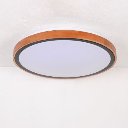 Globo - LED plafondlamp LED/24W/230V 3000/4500/6000K Ø 43,7 cm