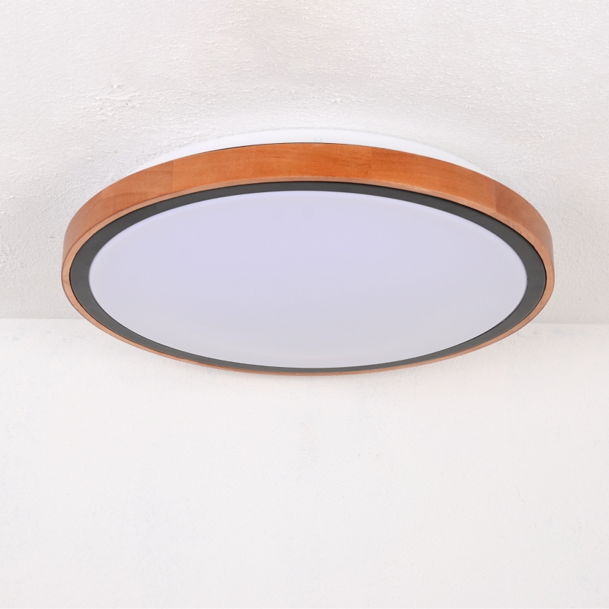 Globo - LED plafondlamp LED/24W/230V 3000/4500/6000K Ø 43,7 cm