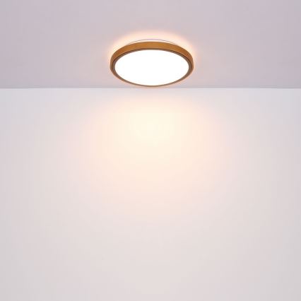 Globo - LED Plafondlamp LED/24W/230V 437mm 3000/4500/6000K