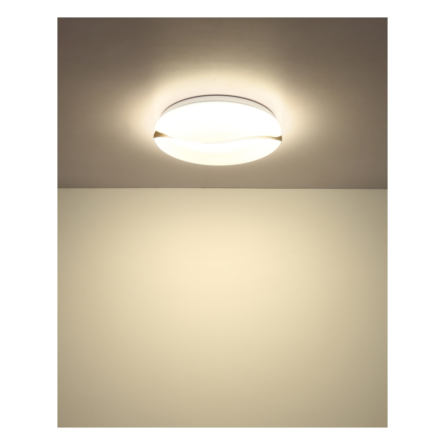 Globo - LED plafondlamp LED/24W/230V 3000/4200/6000K diameter 39 cm