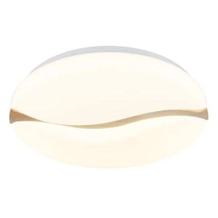 Globo - LED plafondlamp LED/24W/230V 3000/4200/6000K diameter 39 cm