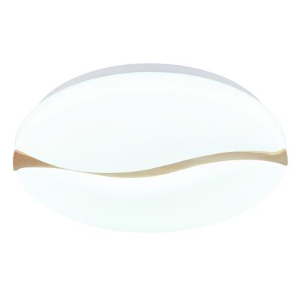 Globo - LED plafondlamp LED/24W/230V 3000/4200/6000K diameter 39 cm