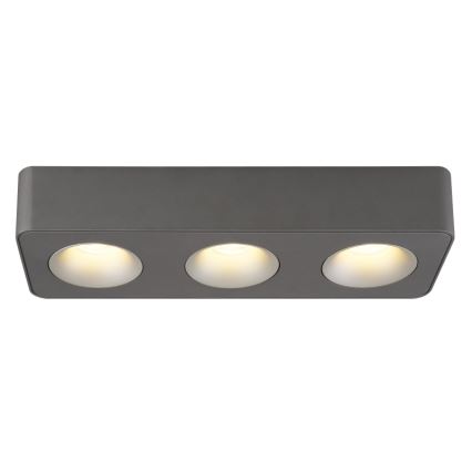 Globo - LED plafondlamp LED/14W/230V 11,7x33,2 cm