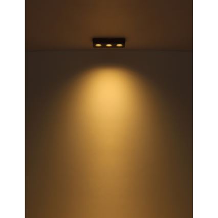 Globo - LED plafondlamp LED/14W/230V 11,7x33,2 cm