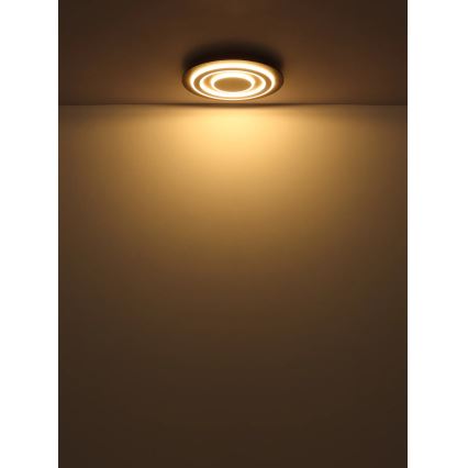Globo - LED Plafondlamp LED/24W/230V 3000K diameter 32 cm antraciet