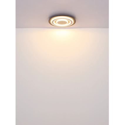 Globo - LED Plafondlamp LED/24W/230V 3000K diameter 32 cm antraciet