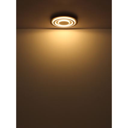 Globo - LED plafondlamp LED/24W/230V 3000K diameter 32 cm