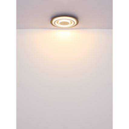 Globo - LED plafondlamp LED/24W/230V 3000K diameter 32 cm