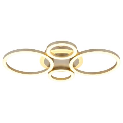 Globo - LED Plafondlamp LED/40W/230V 2700/4500/6500K pr. 35,5x53 cm messing