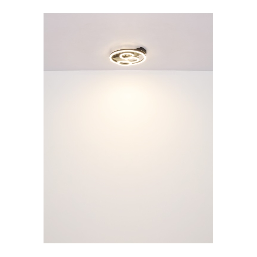 Globo - Dimbare LED plafondlamp LED/40W/230V 2700-6500K diameter 35x33 cm + afstandsbediening