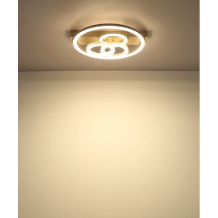 Globo - Dimbare LED-plafondlamp LED/40W/230V 2700-6500K Ø 35x33 cm beige + afstandsbediening