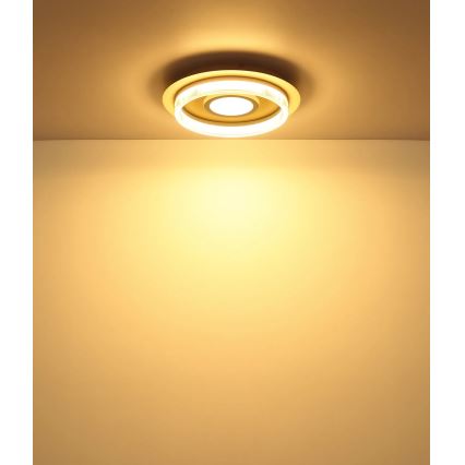 Globo - LED plafondlamp LED/24W/230V 3000K pr. 40 cm
