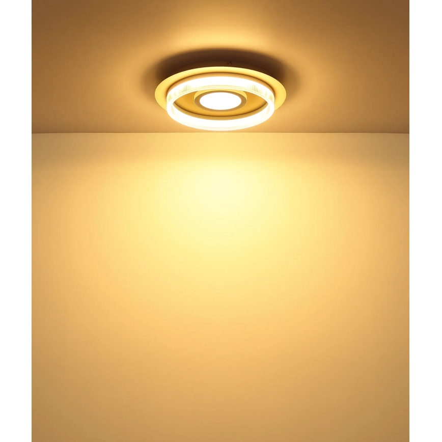 Globo - LED plafondlamp LED/24W/230V 3000K pr. 40 cm