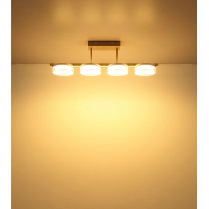 Globo - LED opbouwplafondlamp LED/24W/230V 3000K