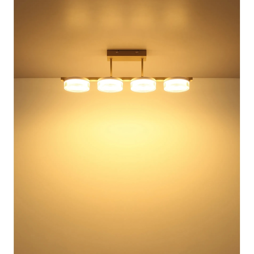 Globo - LED opbouwplafondlamp LED/24W/230V 3000K