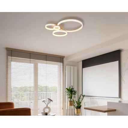 Globo - LED-plafondlamp LED/40W/230V 3000K 64,5x75 cm