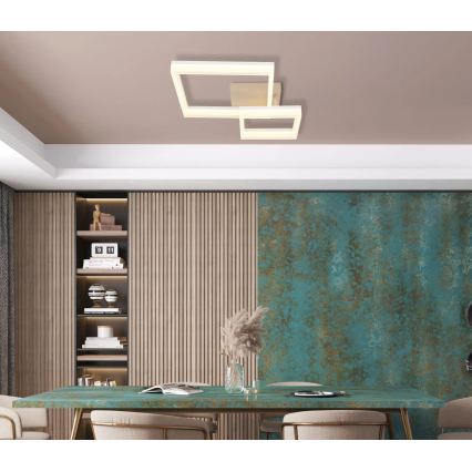 Globo - LED plafondlamp LED/24W/230V 3000K 46,5x62,5 cm