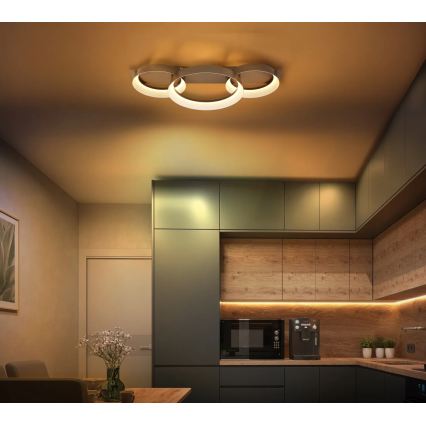 Globo - LED plafondlamp LED/40W/230V 3000K 70x35 cm