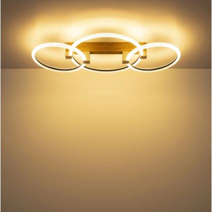 Globo - LED plafondlamp LED/40W/230V 3000K 76,1x38 cm bruin