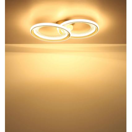 Globo - LED plafondlamp LED/30W/230V 3000K 31,5x52,5 cm