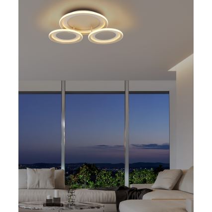 Globo - LED plafondlamp LED/40W/230V 3000K 60,5x62,5 cm