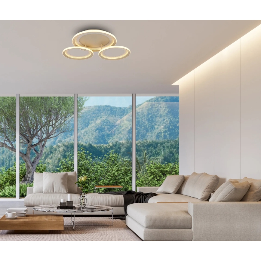 Globo - LED plafondlamp LED/40W/230V 3000K 60,5x62,5 cm