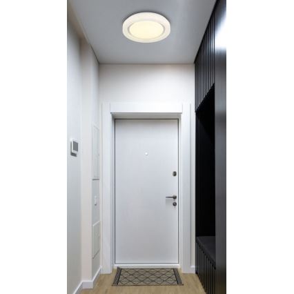 Globo - LED plafondlamp LED/24W/230V 4000K diameter 38 cm