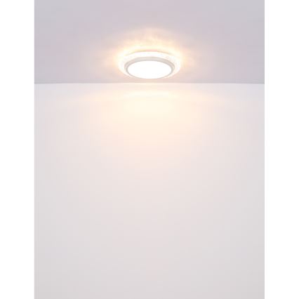 Globo - LED plafondlamp LED/22W/230V 3000K diameter 40 cm
