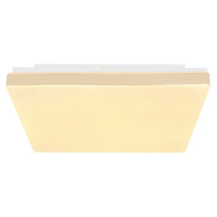 Globo - LED Plafond Lamp LED/12W/230V