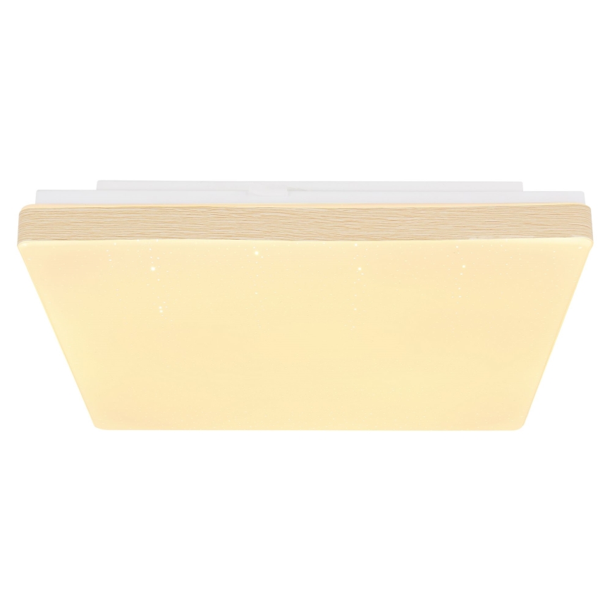 Globo - LED Plafond Lamp LED/12W/230V