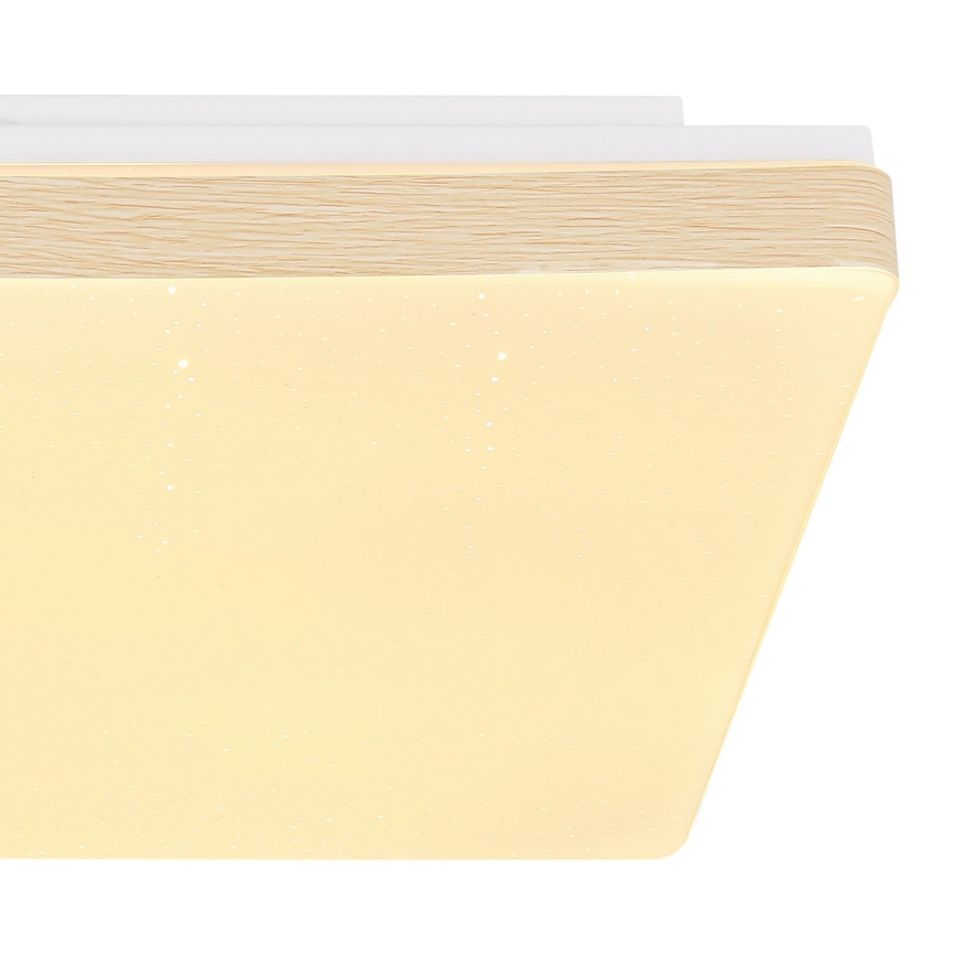 Globo - LED Plafond Lamp LED/12W/230V