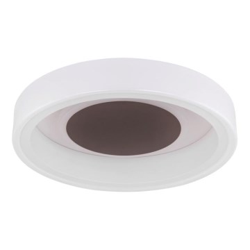 Globo 48398-24 - LED Plafondlamp GOFFI LED/30W/230V