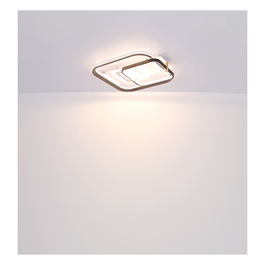Globo 48459-48 - Dimbare LED-plafondlamp ANI LED/48W/230V 2700-6000K 48x52 cm + afstandsbediening