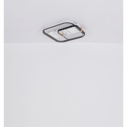 Globo 48459-48 - Dimbare LED-plafondlamp ANI LED/48W/230V 2700-6000K 48x52 cm + afstandsbediening