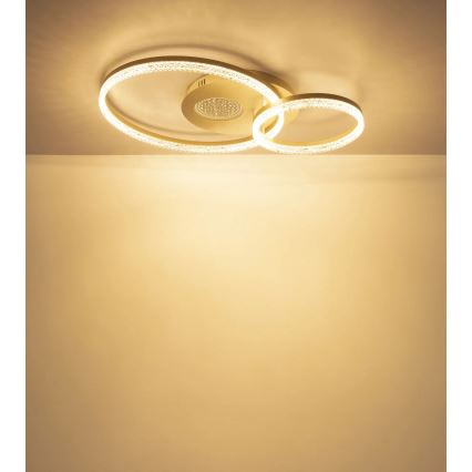 Globo - LED plafondlamp LED/30W/230V 3000K 70x50 cm beige