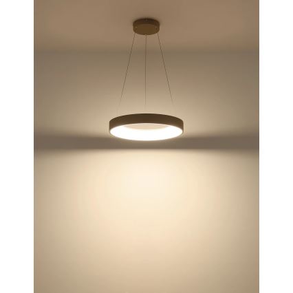 Globo - Dimbare LED-hanglamp aan kabel LED/48W/230V 2700-6000K + afstandsbediening