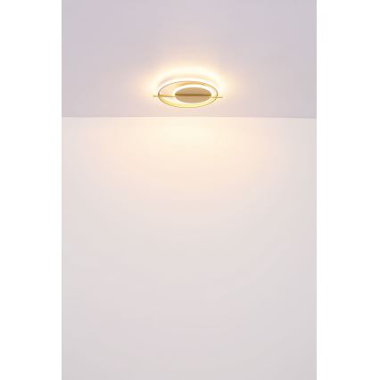 Globo - LED Plafondlamp LED/36W/230V
