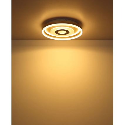 Globo - LED-plafondlamp LED/24W/230V 3000K Ø 40 cm