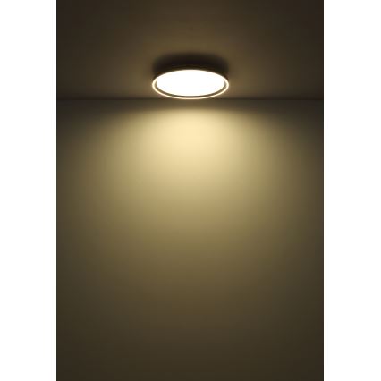 Globo - Dimbare LED Plafondlamp LED/48W/230V 2700-6000K + afstandsbediening diameter 50 cm