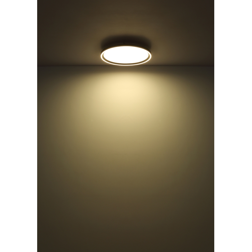 Globo - Dimbare LED Plafondlamp LED/48W/230V 2700-6000K + afstandsbediening diameter 50 cm